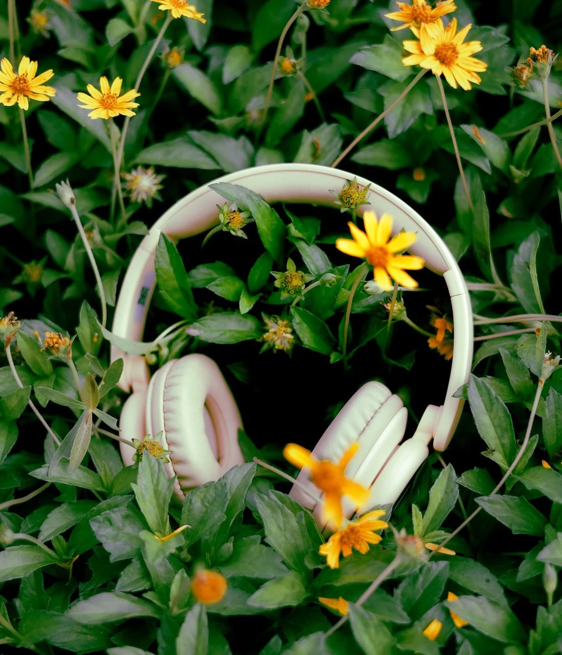 Headphones resting among green leaves and flowers