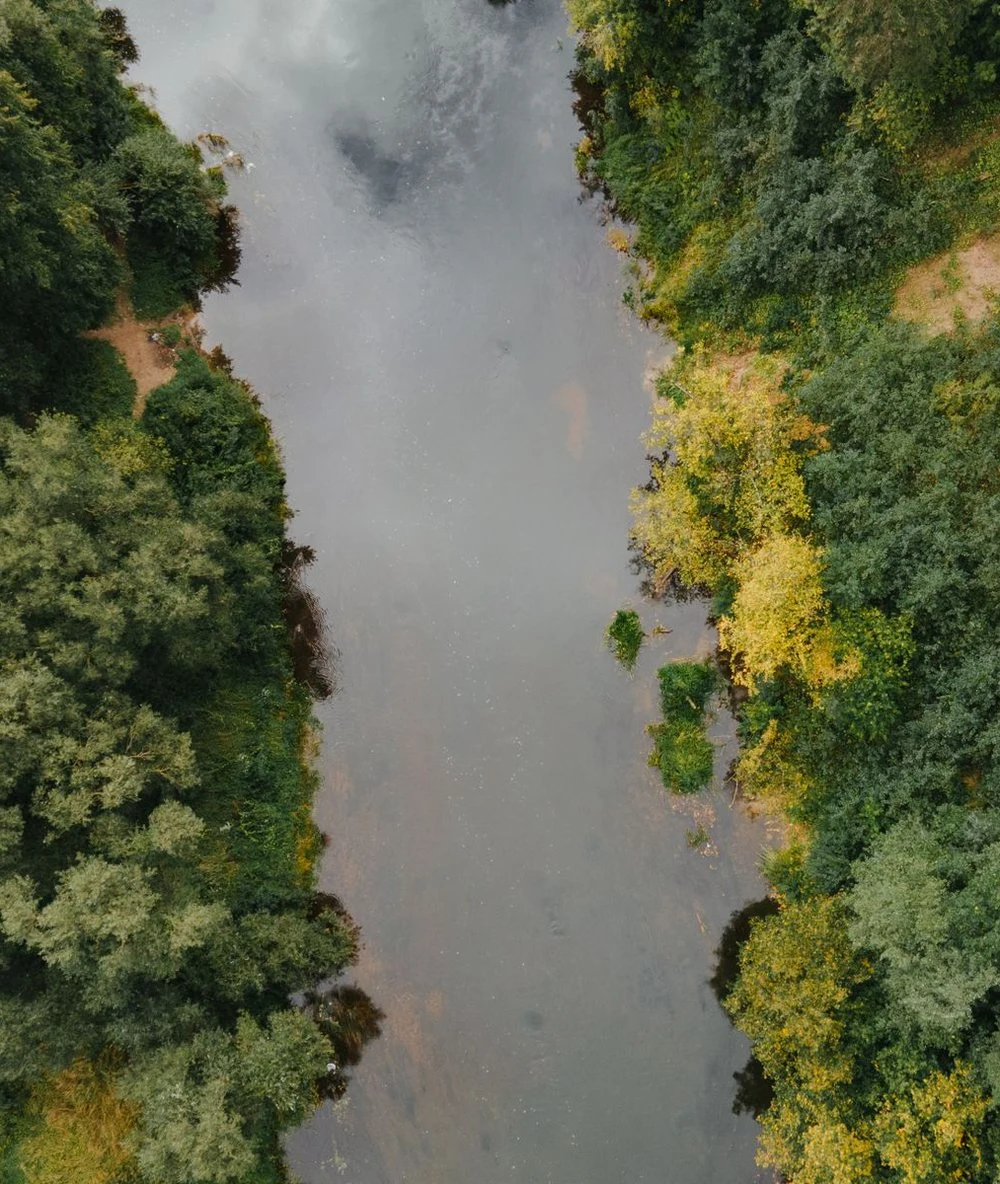 A river flowing between green woodland, viewed from above